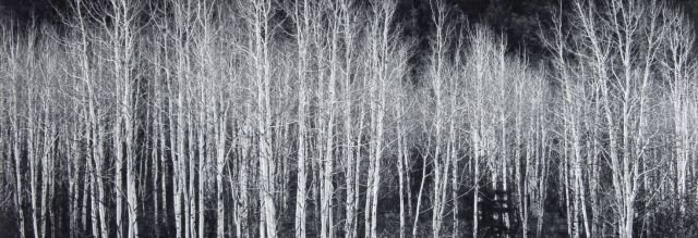 Ansel Adams_photo inspiration