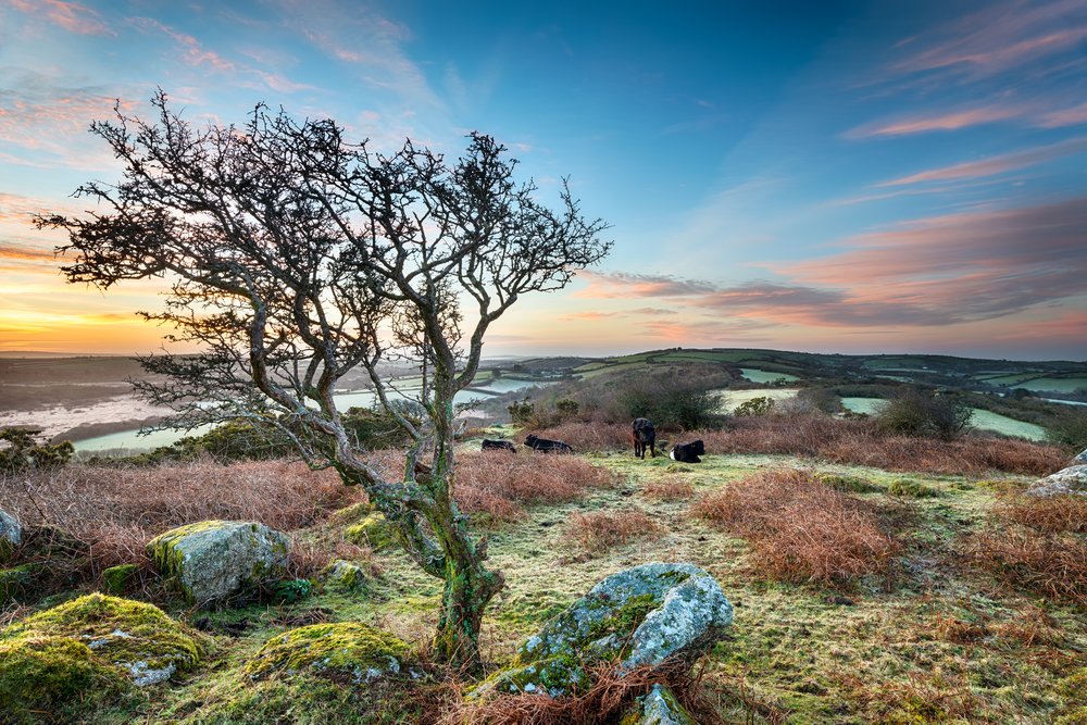 hdr photography